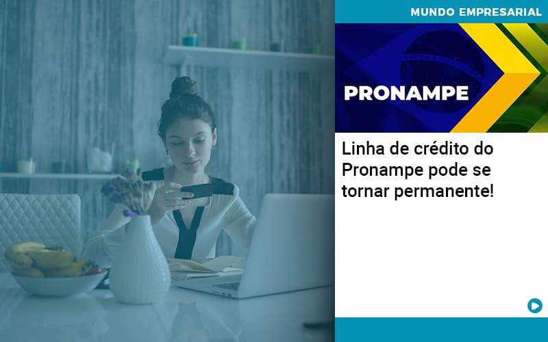 Linha De Credito Do Pronampe Pode Se Tornar Permanente - Organização Contábil Lawini