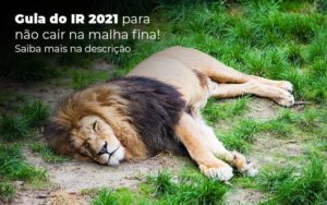 Guia Ir 2021 Para Nao Cair Na Malha Fina Saiba Mais Na Descricao Post 1 Organização Contábil Lawini - Contabilidade do Jesus