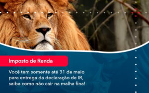 Voce Tem Somente Ate 31 De Maio Para Entrega Da Declaracao De Ir Saiba Como Nao Cair Na Malha Fina 1 - Contabilidade do Jesus